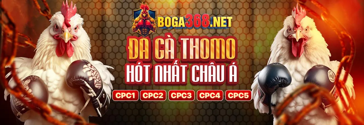 Đá gà trực tiếp tại 32win3 code